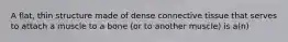 A flat, thin structure made of dense connective tissue that serves to attach a muscle to a bone (or to another muscle) is a(n)