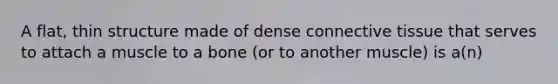 A flat, thin structure made of dense connective tissue that serves to attach a muscle to a bone (or to another muscle) is a(n)