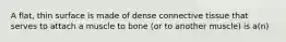 A flat, thin surface is made of dense connective tissue that serves to attach a muscle to bone (or to another muscle) is a(n)