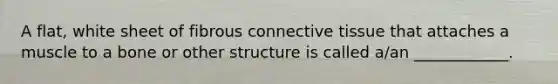 A flat, white sheet of fibrous <a href='https://www.questionai.com/knowledge/kYDr0DHyc8-connective-tissue' class='anchor-knowledge'>connective tissue</a> that attaches a muscle to a bone or other structure is called a/an ____________.