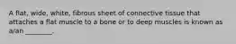 A flat, wide, white, fibrous sheet of connective tissue that attaches a flat muscle to a bone or to deep muscles is known as a/an ________.