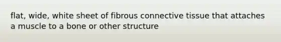 flat, wide, white sheet of fibrous <a href='https://www.questionai.com/knowledge/kYDr0DHyc8-connective-tissue' class='anchor-knowledge'>connective tissue</a> that attaches a muscle to a bone or other structure