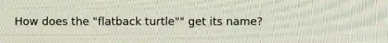 How does the "flatback turtle"" get its name?