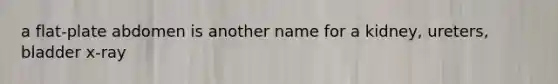 a flat-plate abdomen is another name for a kidney, ureters, bladder x-ray
