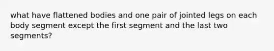 what have flattened bodies and one pair of jointed legs on each body segment except the first segment and the last two segments?