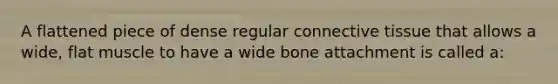 A flattened piece of dense regular connective tissue that allows a wide, flat muscle to have a wide bone attachment is called a: