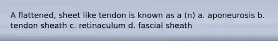 A flattened, sheet like tendon is known as a (n) a. aponeurosis b. tendon sheath c. retinaculum d. fascial sheath