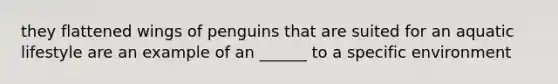 they flattened wings of penguins that are suited for an aquatic lifestyle are an example of an ______ to a specific environment