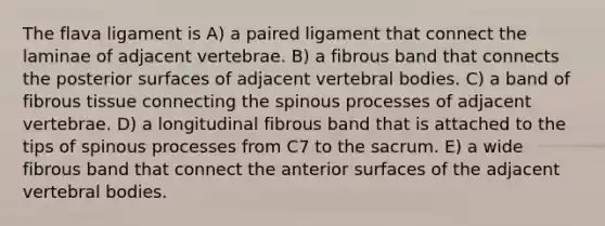 The flava ligament is A) a paired ligament that connect the laminae of adjacent vertebrae. B) a fibrous band that connects the posterior surfaces of adjacent vertebral bodies. C) a band of fibrous tissue connecting the spinous processes of adjacent vertebrae. D) a longitudinal fibrous band that is attached to the tips of spinous processes from C7 to the sacrum. E) a wide fibrous band that connect the anterior surfaces of the adjacent vertebral bodies.