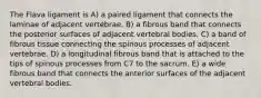 The Flava ligament is A) a paired ligament that connects the laminae of adjacent vertebrae. B) a fibrous band that connects the posterior surfaces of adjacent vertebral bodies. C) a band of fibrous tissue connecting the spinous processes of adjacent vertebrae. D) a longitudinal fibrous band that is attached to the tips of spinous processes from C7 to the sacrum. E) a wide fibrous band that connects the anterior surfaces of the adjacent vertebral bodies.