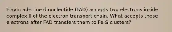 Flavin adenine dinucleotide (FAD) accepts two electrons inside complex II of the electron transport chain. What accepts these electrons after FAD transfers them to Fe-S clusters?