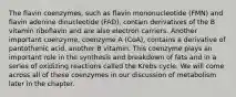 The flavin coenzymes, such as flavin mononucleotide (FMN) and flavin adenine dinucleotide (FAD), contain derivatives of the B vitamin riboflavin and are also electron carriers. Another important coenzyme, coenzyme A (CoA), contains a derivative of pantothenic acid, another B vitamin. This coenzyme plays an important role in the synthesis and breakdown of fats and in a series of oxidizing reactions called the Krebs cycle. We will come across all of these coenzymes in our discussion of metabolism later in the chapter.