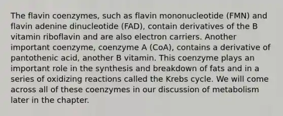 The flavin coenzymes, such as flavin mononucleotide (FMN) and flavin adenine dinucleotide (FAD), contain derivatives of the B vitamin riboflavin and are also electron carriers. Another important coenzyme, coenzyme A (CoA), contains a derivative of pantothenic acid, another B vitamin. This coenzyme plays an important role in the synthesis and breakdown of fats and in a series of oxidizing reactions called the Krebs cycle. We will come across all of these coenzymes in our discussion of metabolism later in the chapter.