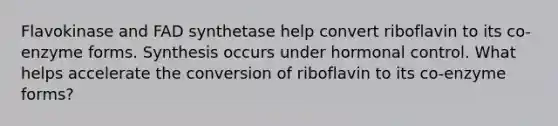 Flavokinase and FAD synthetase help convert riboflavin to its co-enzyme forms. Synthesis occurs under hormonal control. What helps accelerate the conversion of riboflavin to its co-enzyme forms?