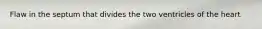 Flaw in the septum that divides the two ventricles of the heart