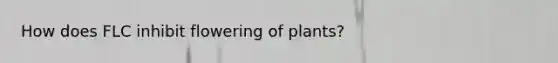 How does FLC inhibit flowering of plants?