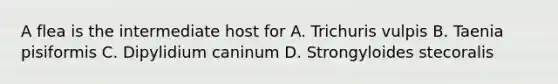 A flea is the intermediate host for A. Trichuris vulpis B. Taenia pisiformis C. Dipylidium caninum D. Strongyloides stecoralis