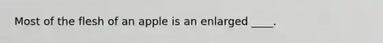 Most of the flesh of an apple is an enlarged ____.​