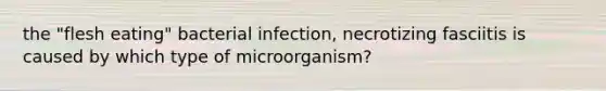 the "flesh eating" bacterial infection, necrotizing fasciitis is caused by which type of microorganism?