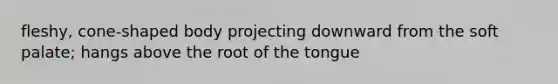 fleshy, cone-shaped body projecting downward from the soft palate; hangs above the root of the tongue