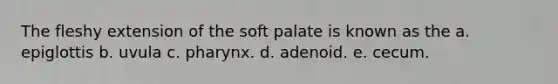 The fleshy extension of the soft palate is known as the a. epiglottis b. uvula c. pharynx. d. adenoid. e. cecum.