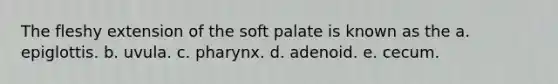 The fleshy extension of the soft palate is known as the a. epiglottis. b. uvula. c. pharynx. d. adenoid. e. cecum.