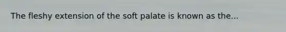 The fleshy extension of the soft palate is known as the...