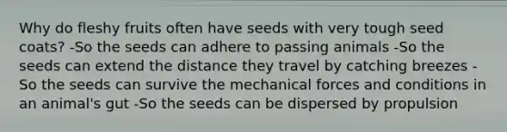 Why do fleshy fruits often have seeds with very tough seed coats? -So the seeds can adhere to passing animals -So the seeds can extend the distance they travel by catching breezes -So the seeds can survive the mechanical forces and conditions in an animal's gut -So the seeds can be dispersed by propulsion