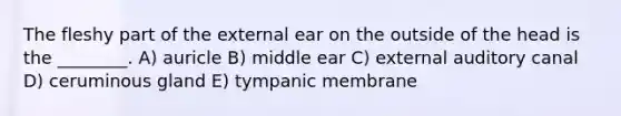 The fleshy part of the external ear on the outside of the head is the ________. A) auricle B) middle ear C) external auditory canal D) ceruminous gland E) tympanic membrane