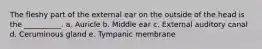 The fleshy part of the external ear on the outside of the head is the __________. a. Auricle b. Middle ear c. External auditory canal d. Ceruminous gland e. Tympanic membrane