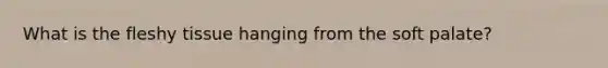 What is the fleshy tissue hanging from the soft palate?