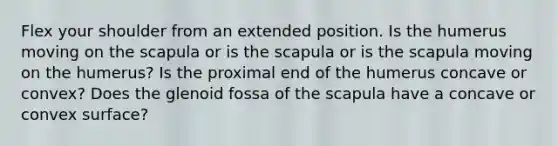 Flex your shoulder from an extended position. Is the humerus moving on the scapula or is the scapula or is the scapula moving on the humerus? Is the proximal end of the humerus concave or convex? Does the glenoid fossa of the scapula have a concave or convex surface?