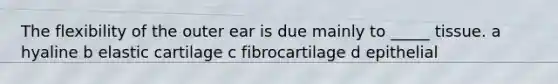 The flexibility of the outer ear is due mainly to _____ tissue. a hyaline b elastic cartilage c fibrocartilage d epithelial