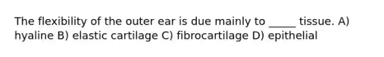 The flexibility of the outer ear is due mainly to _____ tissue. A) hyaline B) elastic cartilage C) fibrocartilage D) epithelial