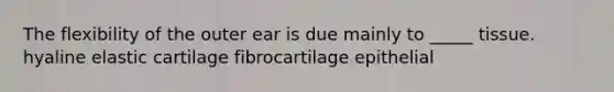 The flexibility of the outer ear is due mainly to _____ tissue. hyaline elastic cartilage fibrocartilage epithelial