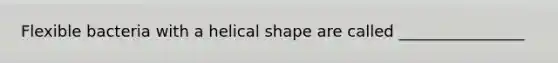 Flexible bacteria with a helical shape are called ________________