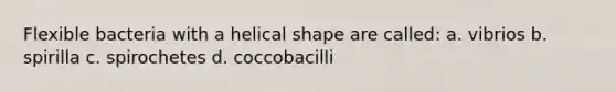 Flexible bacteria with a helical shape are called: a. vibrios b. spirilla c. spirochetes d. coccobacilli