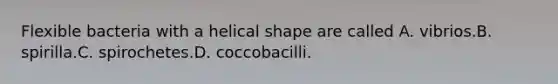 Flexible bacteria with a helical shape are called A. vibrios.B. spirilla.C. spirochetes.D. coccobacilli.