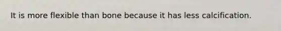 It is more flexible than bone because it has less calcification.