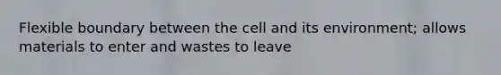 Flexible boundary between the cell and its environment; allows materials to enter and wastes to leave