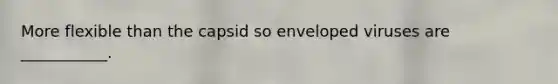 More flexible than the capsid so enveloped viruses are ___________.