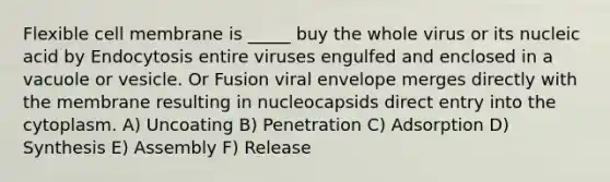 Flexible cell membrane is _____ buy the whole virus or its nucleic acid by Endocytosis entire viruses engulfed and enclosed in a vacuole or vesicle. Or Fusion viral envelope merges directly with the membrane resulting in nucleocapsids direct entry into the cytoplasm. A) Uncoating B) Penetration C) Adsorption D) Synthesis E) Assembly F) Release