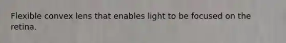 Flexible convex lens that enables light to be focused on the retina.