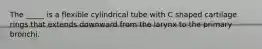 The _____ is a flexible cylindrical tube with C shaped cartilage rings that extends downward from the larynx to the primary bronchi.