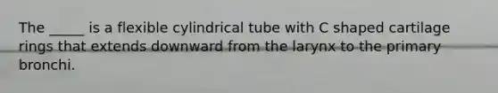 The _____ is a flexible cylindrical tube with C shaped cartilage rings that extends downward from the larynx to the primary bronchi.