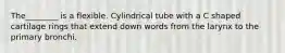 The________ is a flexible. Cylindrical tube with a C shaped cartilage rings that extend down words from the larynx to the primary bronchi.