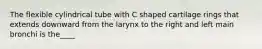 The flexible cylindrical tube with C shaped cartilage rings that extends downward from the larynx to the right and left main bronchi is the____