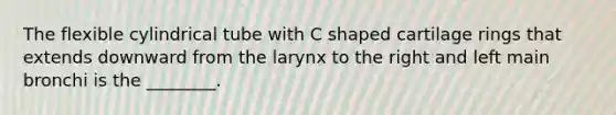 The flexible cylindrical tube with C shaped cartilage rings that extends downward from the larynx to the right and left main bronchi is the ________.