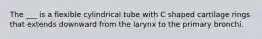 The ___ is a flexible cylindrical tube with C shaped cartilage rings that extends downward from the larynx to the primary bronchi.