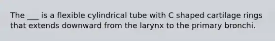 The ___ is a flexible cylindrical tube with C shaped cartilage rings that extends downward from the larynx to the primary bronchi.